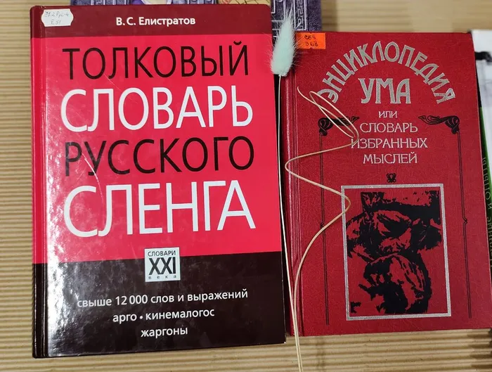 На фото книга Толковый словарь русского сленга и Энциклопедия ума или словарь избранных мыслей.